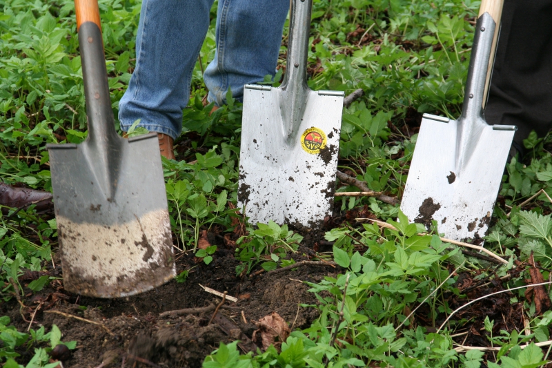 pepiniere-ROURE-min_work-lawn-flower-tool-green-backyard-1103633-pxhere.com